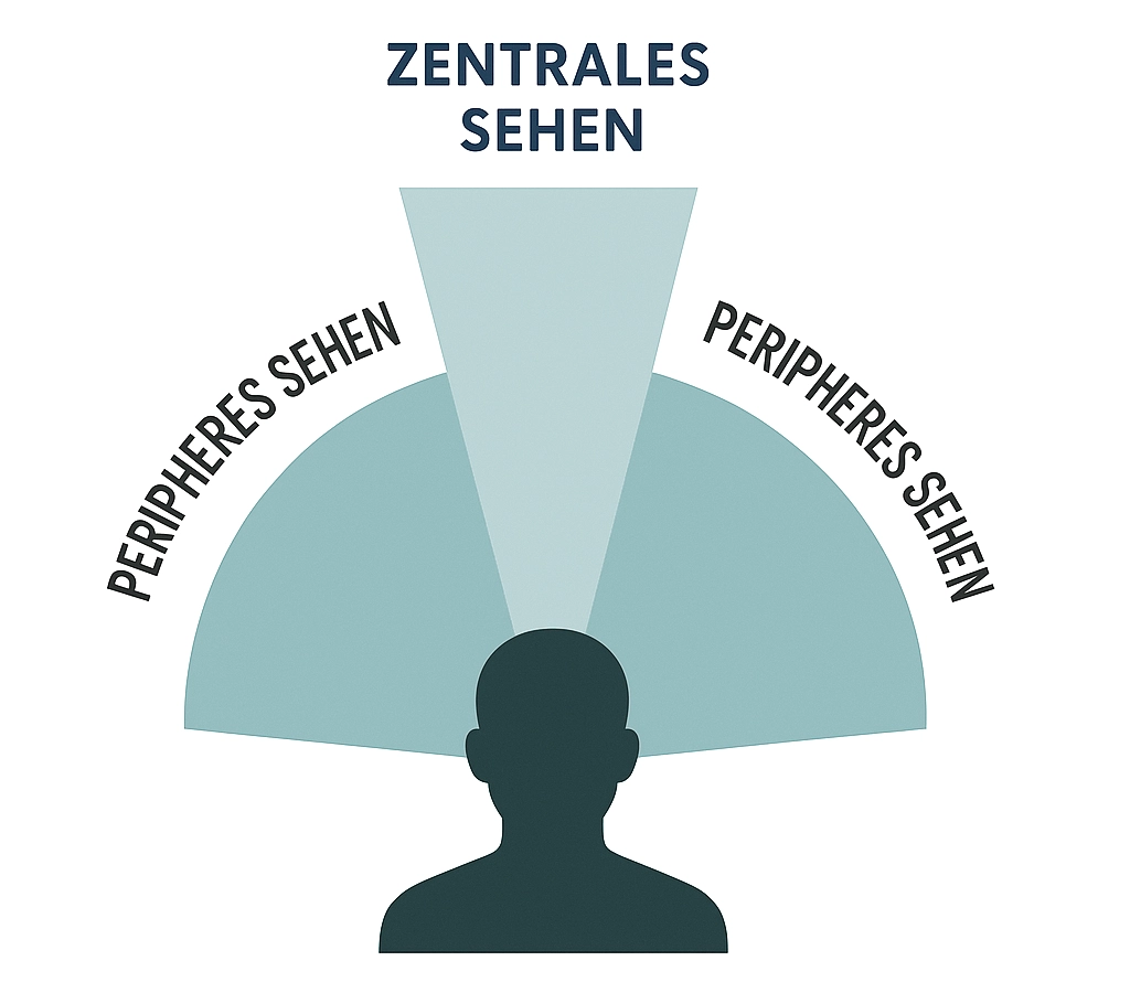 Sichtfeld-Grafik zum peripheren Sehen